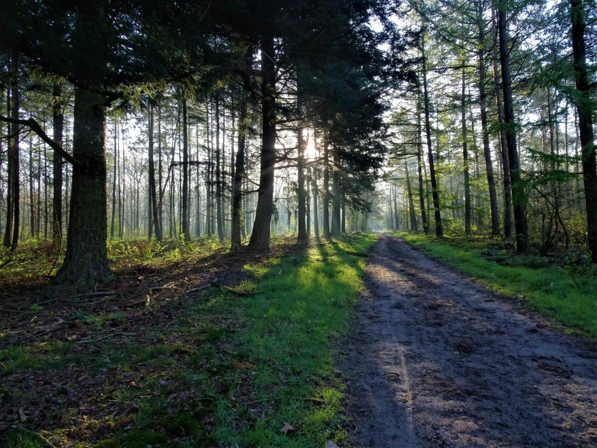 Chalet Veluwe Park Reewold Talisman Putten